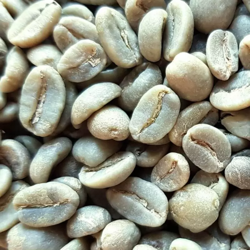 Café Vert Bio Colombie Madre Tierra - 1kg 1 Café Vert Bio Colombie Madre Tierra - 1kg