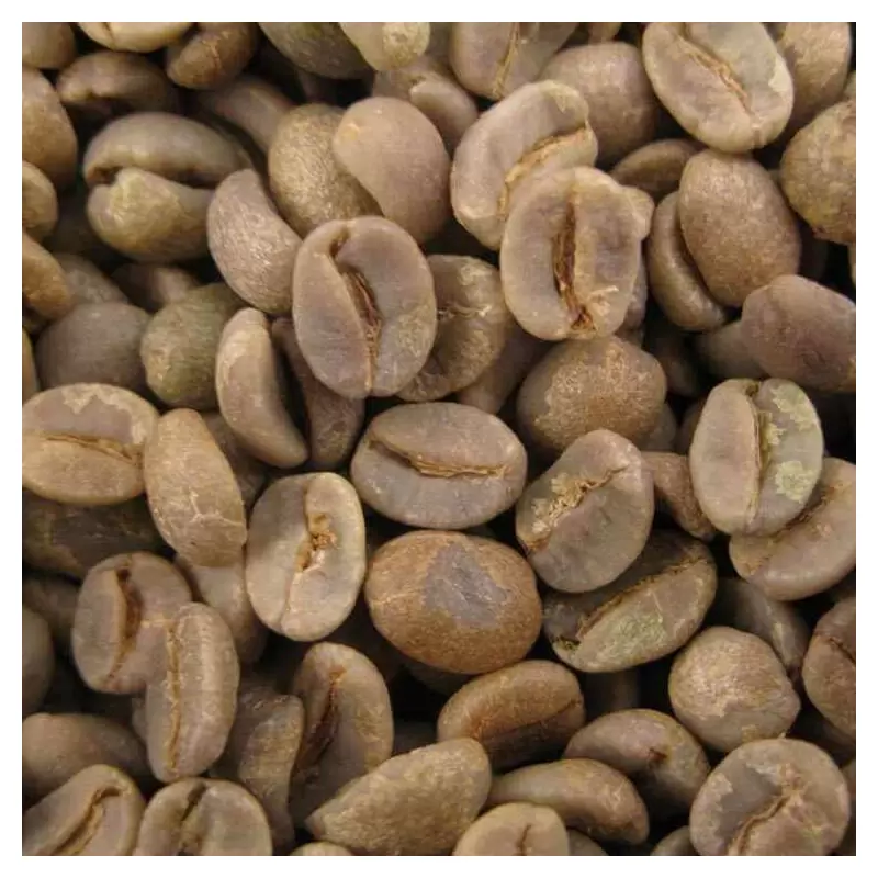 Café Vert Salvador Manzano Bourbon Rouge - 1kg 1 Café Vert Salvador Manzano Bourbon Rouge - 1kg